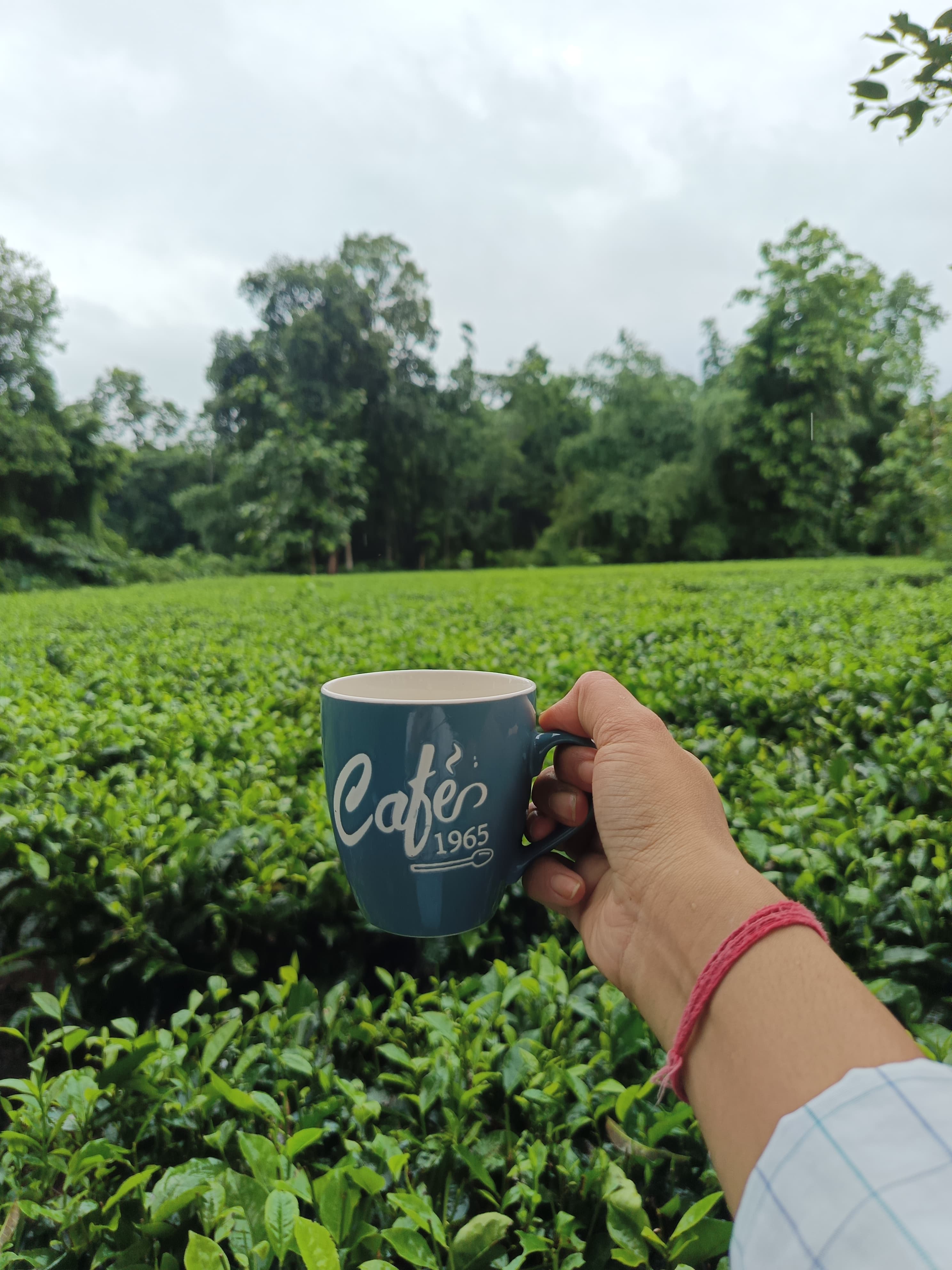 Masala Tea